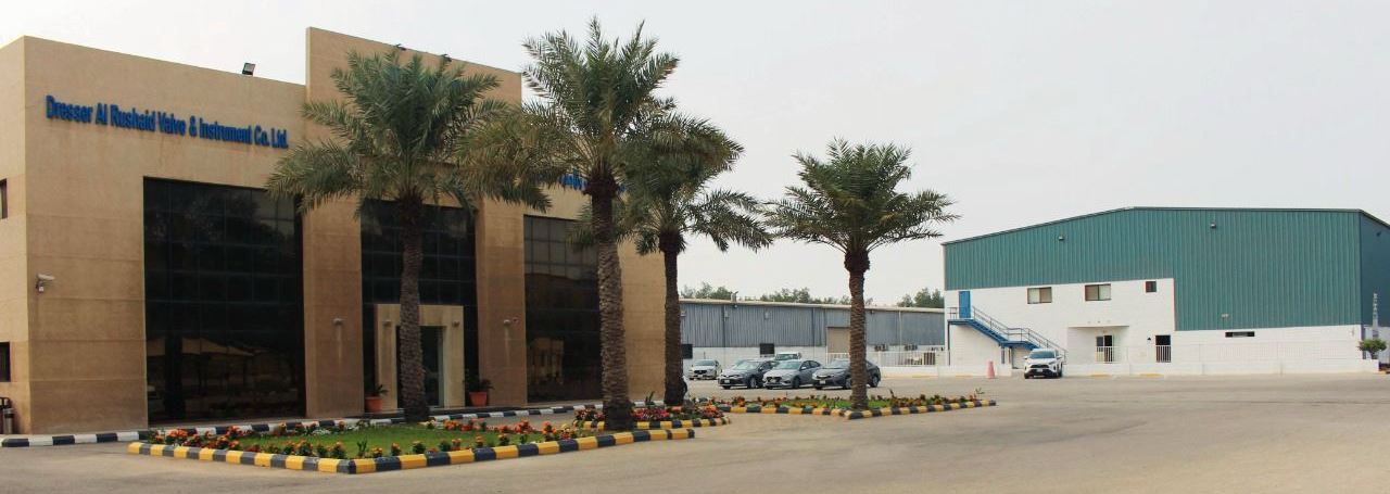 DARVICO plant