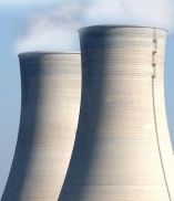 NUCLEAR SERVICE VALVES — 